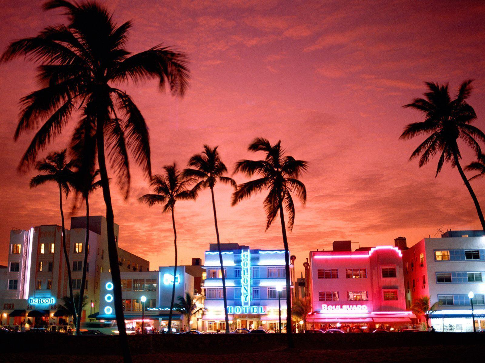 Palms over Ocean Drive at sunset