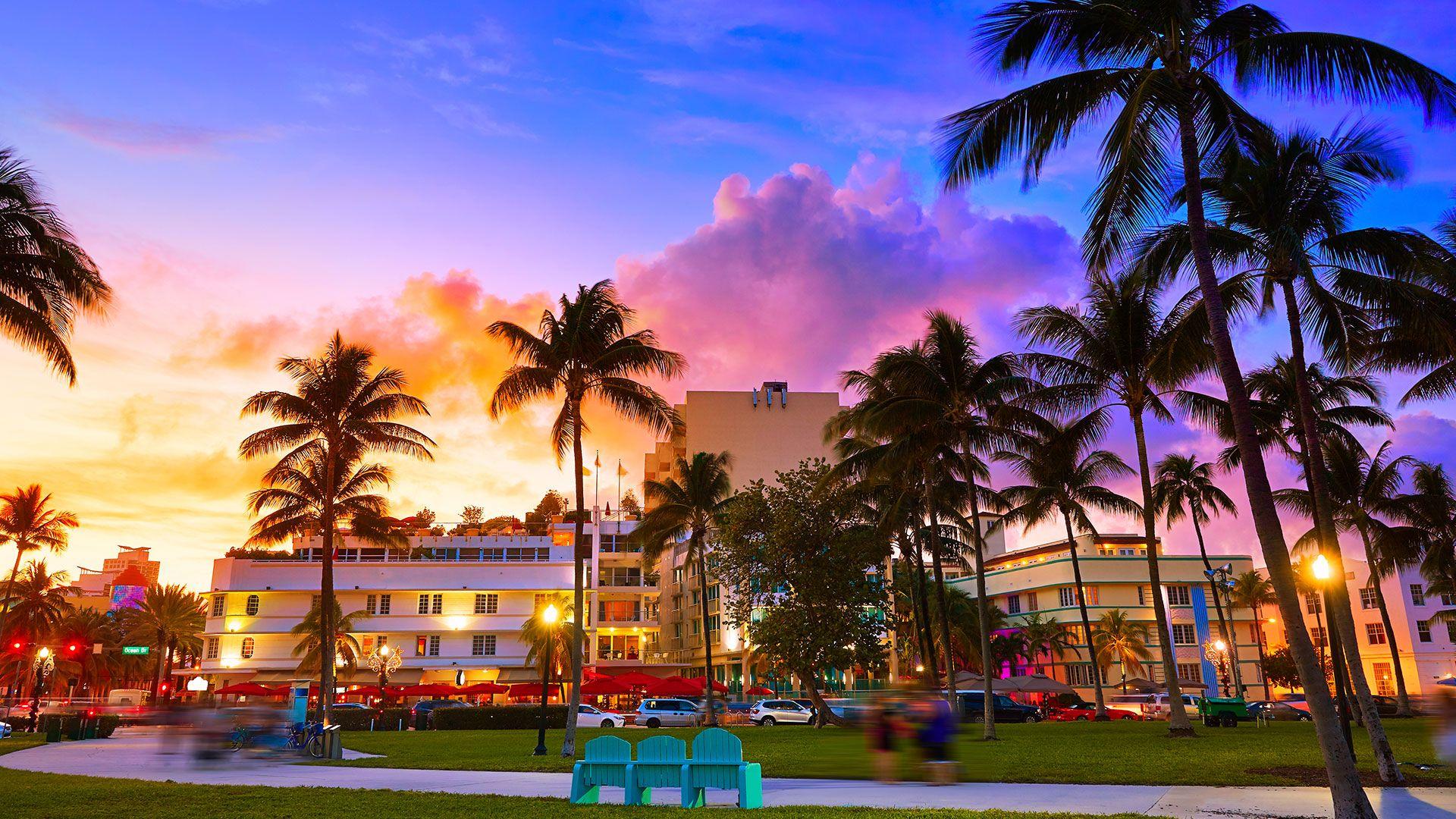 Palm trees against a South Florida sunset